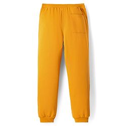 Pine Kids Marvel Terry Knit Full Length Track Pant with Avengers Graphics - Yellow
