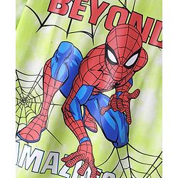 Pine Kids Marvel Terry Knit Half Sleeve Oversized Drop Shoulder T-Shirt With Spider Man Graphics And Tie And Dye & Badge Detailing - Light Green & White
