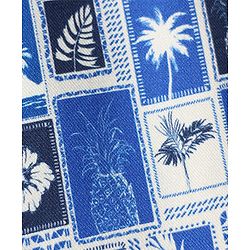 Pine Kids Viscose Woven Half Sleeves Shirt with Beach Theme Print - Blue