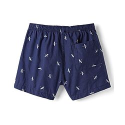Pine Kids Cotton Knit Boxers with Hot Air Balloon & Bird Print Pack of 2 (Color May Vary)