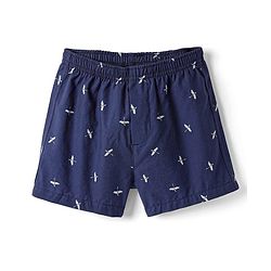 Pine Kids Cotton Knit Boxers with Hot Air Balloon & Bird Print Pack of 2 (Color May Vary)