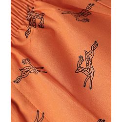 Pine Kids Cotton Woven Boxers With Animal Print Pack Of 2 (Colour May Vary)