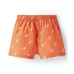 Pine Kids Cotton Woven Boxers With Ball & Bird Print Pack Of 2 (Colour May Vary)