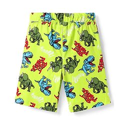 Pine Kid Single Jersey Knit Half Sleeves Co-ords Shorts Night Suit With Dino Print - Light Green