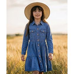 Pine Kids Cotton Woven Full Sleeves Solid Shirt Dress - Blue