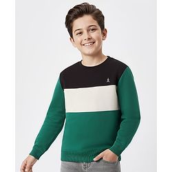 Pine Kids Cotton Knit Full Sleeves Solid Color Pullover Cut & Sew Sweatshirt - Mint