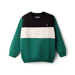 Pine Kids Cotton Knit Full Sleeves Solid Color Pullover Cut & Sew Sweatshirt - Mint