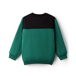 Pine Kids Cotton Knit Full Sleeves Solid Color Pullover Cut & Sew Sweatshirt - Mint