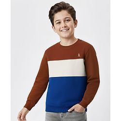 Pine Kids Cotton Knit Full Sleeves Solid Color Pullover Cut & Sew Sweatshirt - Blue & Brown