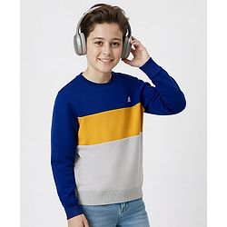 Pine Kids Cotton Knit Full Sleeves Solid Color Pullover Cut & Sew Sweatshirt - Blue & Grey