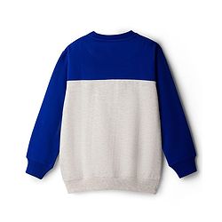 Pine Kids Cotton Knit Full Sleeves Solid Color Pullover Cut & Sew Sweatshirt - Blue & Grey