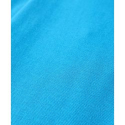Pine Kids Cotton Knit Half Sleeves Polo T-Shirt with Awesome Text Print - Blue