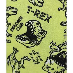Pine Kids Single Jersey Knit Half Sleeves Co-ords Night Suit With Dino Print - Green