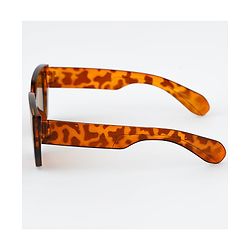 Pine Kids Full Rim Sunglasses - Brown