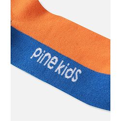 Pine Kids Knit Ankle Length Silvadur Antimicrobial Socks with Design Pack of 5 - Multicolor