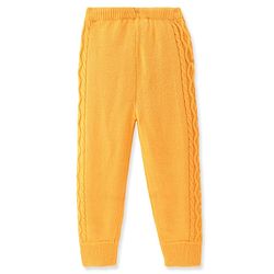 Pine Kids Knit Full Sleeves Sweater Set with Cable Knit Design - Mustard