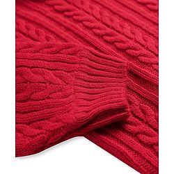 Pine Kids Knit Full Sleeves Pullover with Cable Knit Design - Red