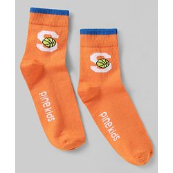 Pine Kids Knit Ankle Length Silvadur Antimicrobial Socks with Basketball Design Pack of 5 - Multicolor