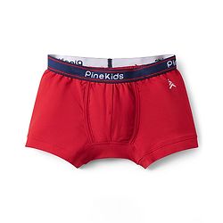 Pine Kids Cotton Knit Trunks with Stripe Design & Car Print Pack of 3 - Red & Blue