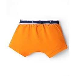 Pine Kids Cotton Elastane Knit Trunks Pack Of 3  (Colours May Vary)