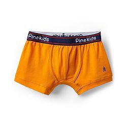Pine Kids Cotton Elastane Knit Solid Trunk Pack of 3 Color May Vary