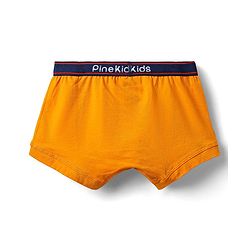Pine Kids Cotton Elastane Knit Solid Trunk Pack of 3 Color May Vary