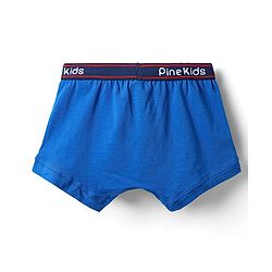 Pine Kids Cotton Elastane Knit Solid Trunk Pack of 3 Color May Vary