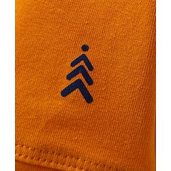 Pine Kids Cotton Elastane Knit Solid Trunk Pack of 3 Color May Vary