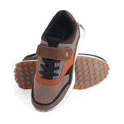 Pine Kids Velcro Closure Sneaker - Brown