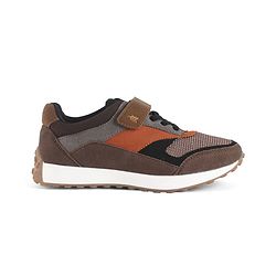 Pine Kids Velcro Closure Sneaker - Brown