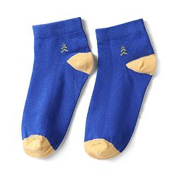 Pine Kids Knit Ankle Length Silvadur Antimicrobial Socks with Color Block Design Pack of 3 - Color May Vary