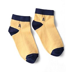 Pine Kids Knit Ankle Length Silvadur Antimicrobial Socks with Color Block Design Pack of 3 - Color May Vary