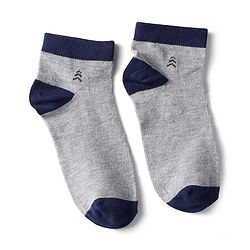 Pine Kids Knit Ankle Length Silvadur Antimicrobial Socks with Color Block Design Pack of 3 - Color May Vary