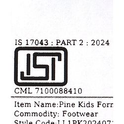 Pine Kids Slip On Loafer with Applique - Beige