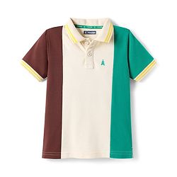Pine Kids Cotton Knit Half Sleeves Polo T-Shirt With Color Block Design - Multicolor