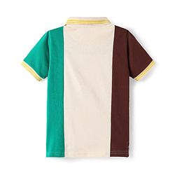 Pine Kids Cotton Knit Half Sleeves Polo T-Shirt With Color Block Design - Multicolor