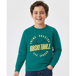 Pine Kids Knit Full Sleeves Sweatshirt With Basketball Print - Mint Green