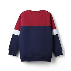 Pine Kids Cotton Knit Full Sleeves Cut & Sew Sweatshirt with Text Print - Red & Navy Blue