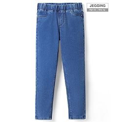 Pine Kids Woven Ankle Length Washed Denim Jeggings - Blue