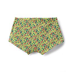Pine Kids Cotton Elastane Knit Hipsters With Floral Print Pack Of 3 (Colour May Vary)