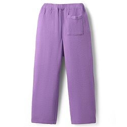 Pine Kids Knit Full Sleeves Pullover Solid Sweater Set with Hexagon Design - Purple