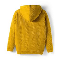 Pine Kids Knit Full Sleeves Front Open Hooded Sweater with Cable Knit Design - Mustard