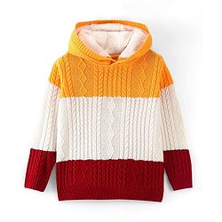 Pine Kids Knit Full Sleeves Hooded Sweater With Cable Knit Design - Multicolour