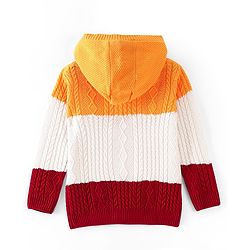 Pine Kids Knit Full Sleeves Hooded Sweater With Cable Knit Design - Multicolour