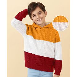 Pine Kids Knit Full Sleeves Hooded Sweater With Cable Knit Design - Multicolour