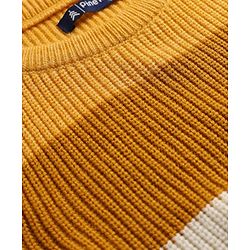 Pine Kids Knit Full Sleeves Pullover Sweater With Stripe Design - Multicolour