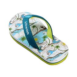 Pine Kids Slip On Flip Flops with Beach Theme Print - Blue