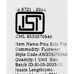 Pine Kids Slip On Flip Flops with Beach Theme Print - White & Blue