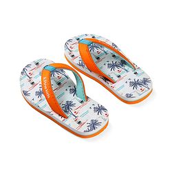 Pine Kids Slip On Flip Flops with Beach Theme Print - White & Blue