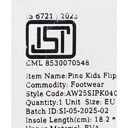 Pine Kids Slip On Flip Flops with Nautical Theme Print - Multicolor